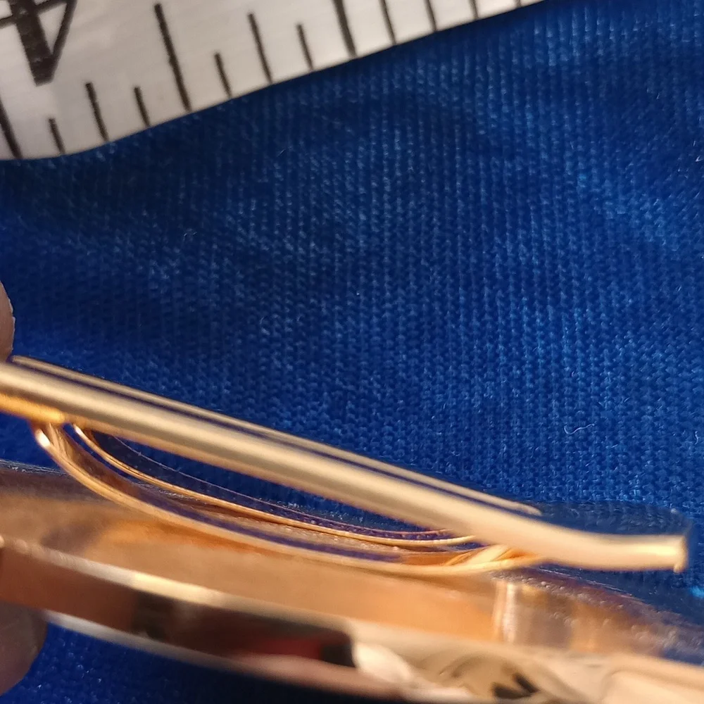 Sturgeon Electric Gold Money Clip